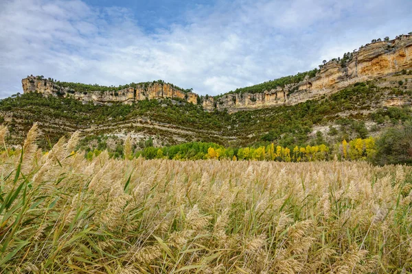 Paisaje otoñal en Cuenca con formaciones rocosas, gran angular —  Fotos de Stock