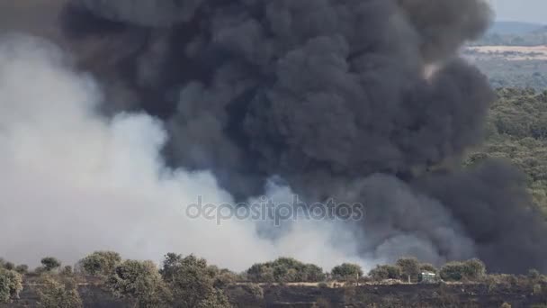 Peligroso fuego salvaje con humo enorme — Vídeo de stock