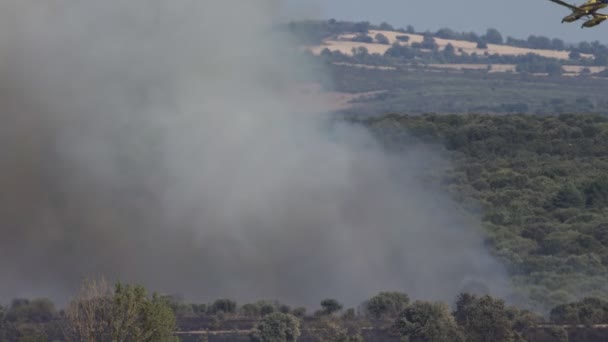 Гидросамолет входит в дикий пожарный дым — стоковое видео