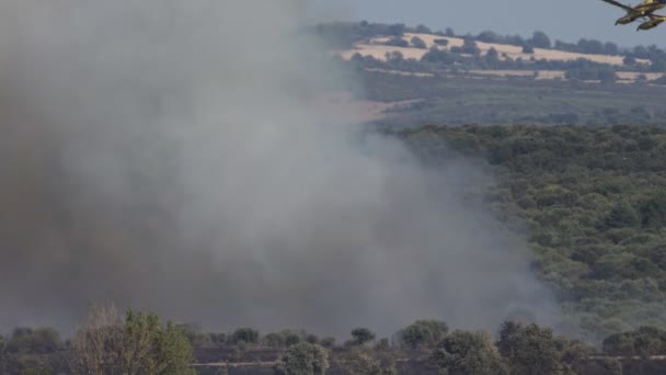 Υδροπλάνο εισέρχονται άγρια φωτιά καπνός — Αρχείο Βίντεο