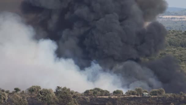 Fuego con humo enorme — Vídeo de stock