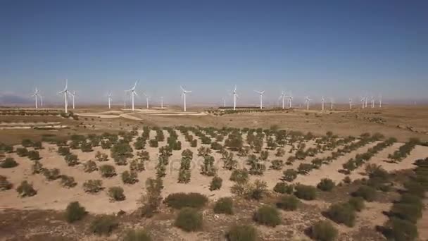 Dolly Zoom über laufenden Windkraftpark und Bäume — Stockvideo