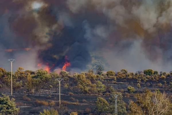 Brand in de wildernis met elektrische torens — Stockfoto