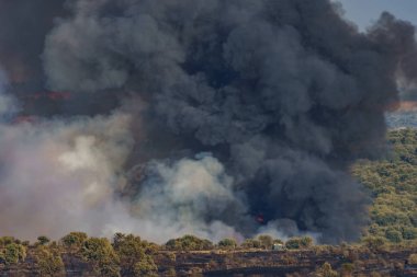 Sıcak yaz ateş, koyu duman büyük sütun