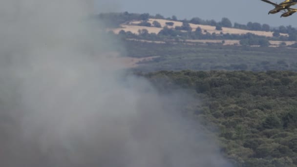 Hidroavión volando detrás del humo — Vídeo de stock