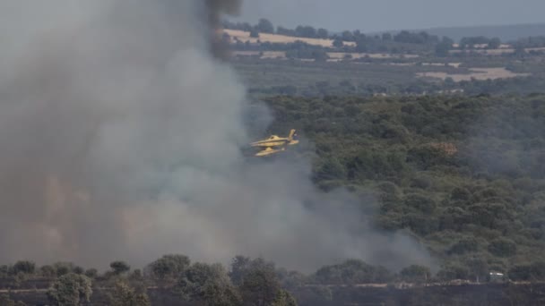 Hidroavión volando detrás de humo de fuego salvaje en 4k — Vídeo de stock