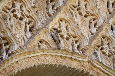 Serçe dekore edilmiş duvarın üzerinden