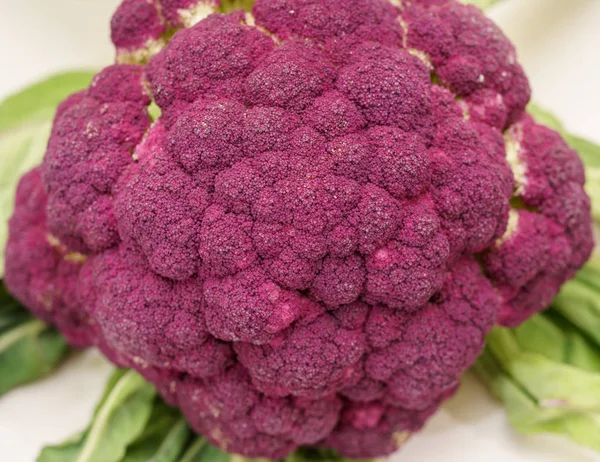 Lila Broccoli Vegan närbild makro — Stockfoto