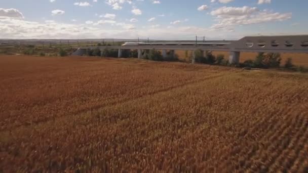 Trem rápido sai da ponte perto do campo de milho cultivado — Vídeo de Stock