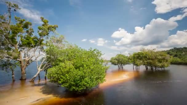 Spiaggia nel bel mezzo del Rio Negro, Brasile Time Lapse — Video Stock