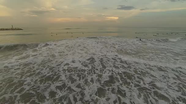 Серфінгу на заході сонця — стокове відео