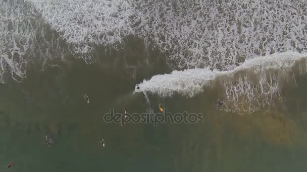 Bovenaanzicht van Surfers — Stockvideo