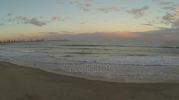 Surf at sunset — Stock Video