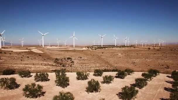 Dolly zoom over kincir angin pertanian dan bidang pohon — Stok Video