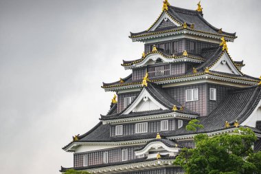 Okayama Castle cephe beyaz gökyüzü karşı