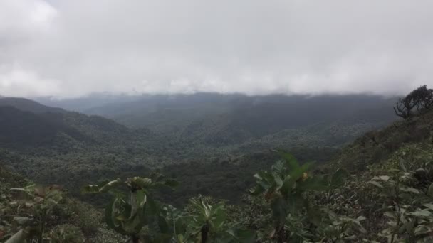 Vista do Parque Nacional de Monteverde na Costa Rica — Vídeo de Stock