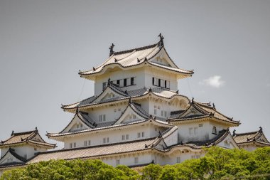 Himeji kale ağaçların üzerinden beyaz Heron kale