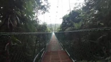 Kosta Rika rainforest köprüde asılı yürüme
