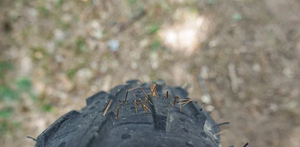 Велосипедное колесо с шипами — стоковое фото