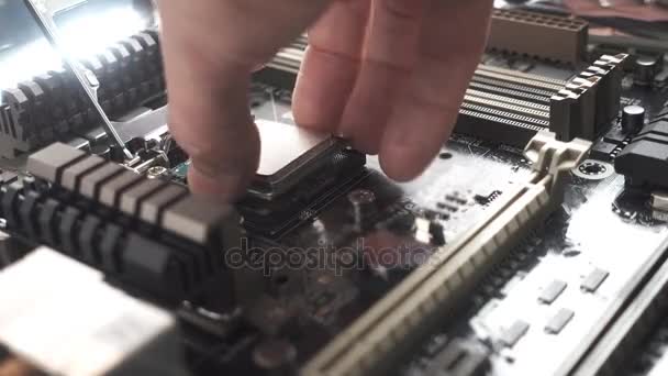 Processor installation in motherboard — Stock Video