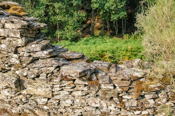 Vecchio muro di pietra abbandonato e felce — Foto Stock