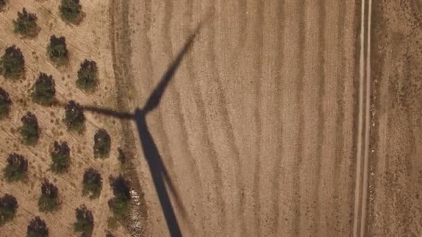 Blick von oben auf den Schatten der Windmühle über bewirtschaftetem Land — Stockvideo