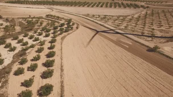 Windmolen schaduw over het gecultiveerde land — Stockvideo