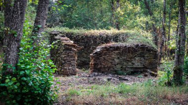 Eski yıkık watermill