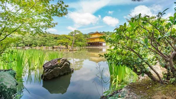 京都、日本 2015 年 6 月 7 日: 金閣寺ゴールデン パビリオン、木の後ろに京都で人気のある禅仏教寺院 — ストック写真