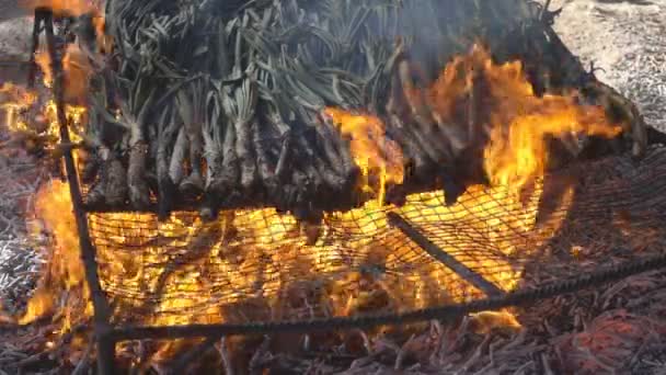 Tradiční katalánské calsots nad ohněm, pomalý pohyb — Stock video