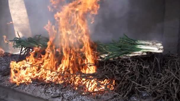 Traditionelle catalanske calsots i ilden, slow-motion – Stock-video