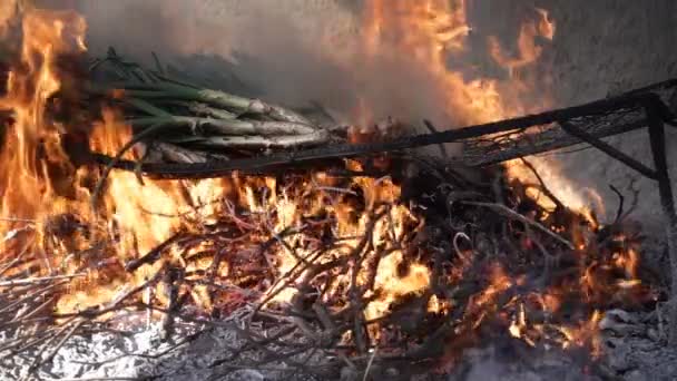 Vista lateral de calzots sobre la parrilla, cámara lenta — Vídeos de Stock