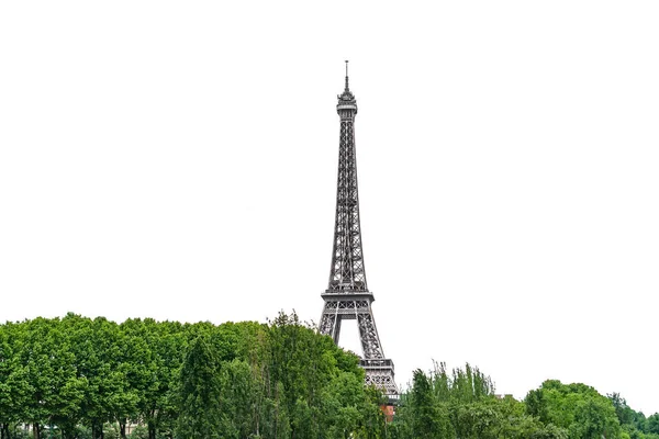 De Eiffeltoren opkomende over bomen geïsoleerd op wit — Stockfoto