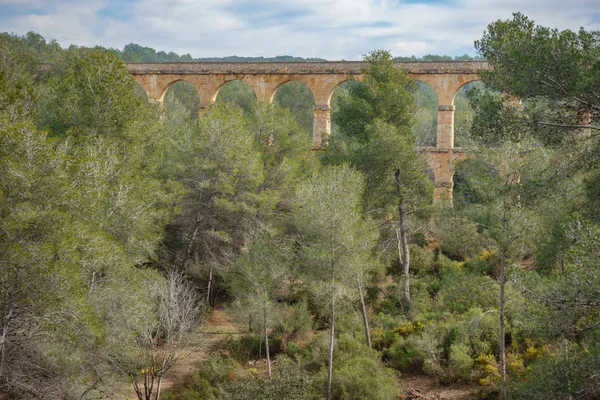 Das Ferreres Aquädukt im Wald — Stockfoto