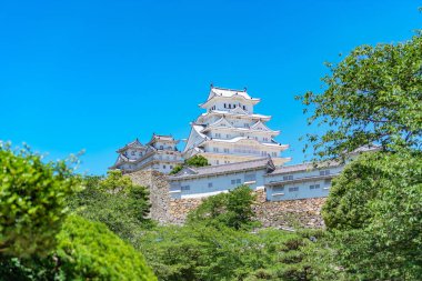 Ağaçlar üzerinde beyaz Heron kale