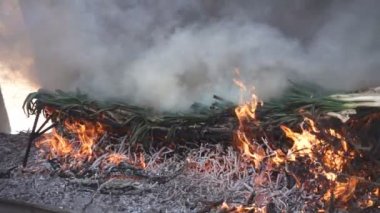 Yangında duman, yavaş hareket ile geleneksel Katalan calsots hazırlanıyor