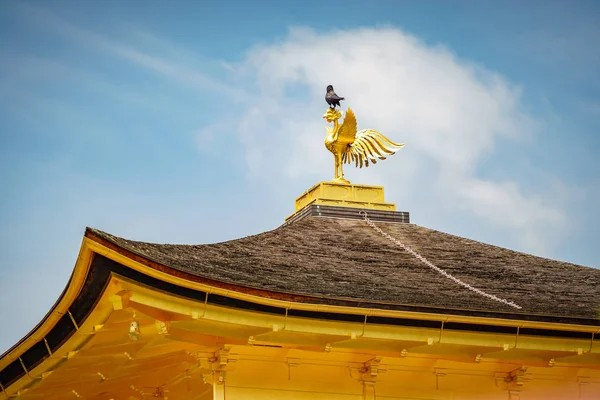 金亭寺顶上的乌鸦 — 图库照片