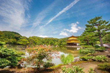 Kyoto, Japonya - 7 Haziran 2015: Kinkakuji Tapınağı ağaçların, arkasında popüler Zen Budist tapınağı: Kyoto, Japan