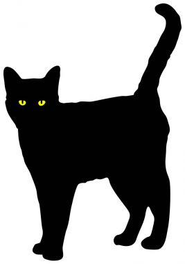 Sarı gözlü kamera vektörünü seyir siyah kedi