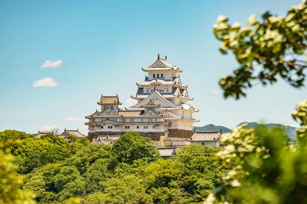 Himeji Château au-dessus des arbres, château Héron blanc — Photo