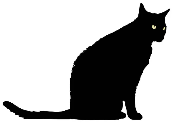 Gato negro de pie — Vector de stock