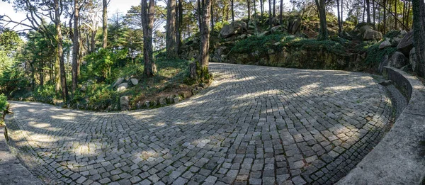 Paved u-shape curve in the forest — Stock Photo, Image