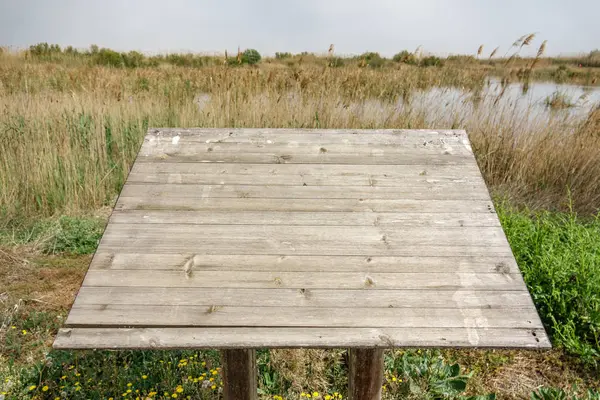 Zerstörtes Schild im Naturpark — Stockfoto