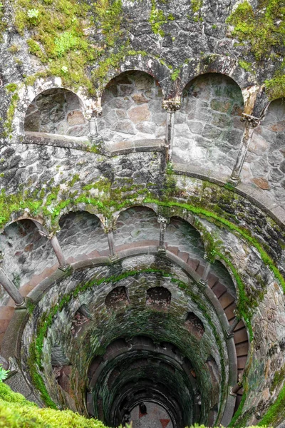 The Initiation Well vertical view