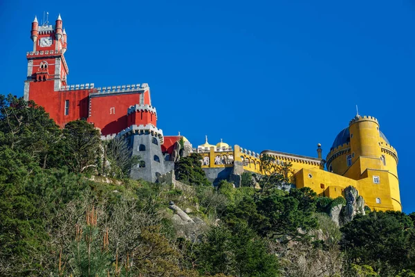 바위 벌레 눈 보기 위에 궁전 다 페 냐. 신트라, 리스본 포르투갈 — 스톡 사진
