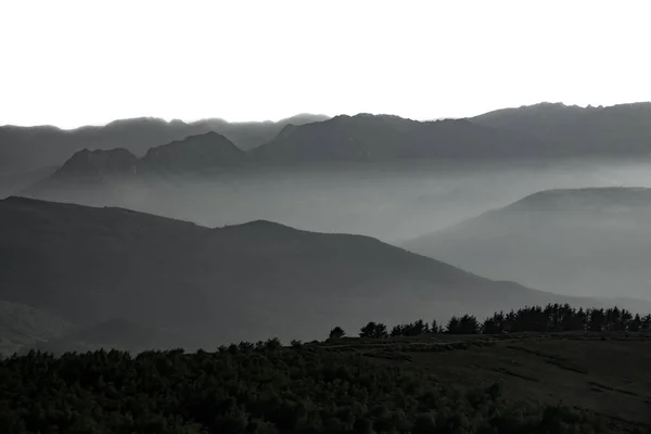 Nebbia sulle montagne, cielo bianco per il testo — Foto Stock