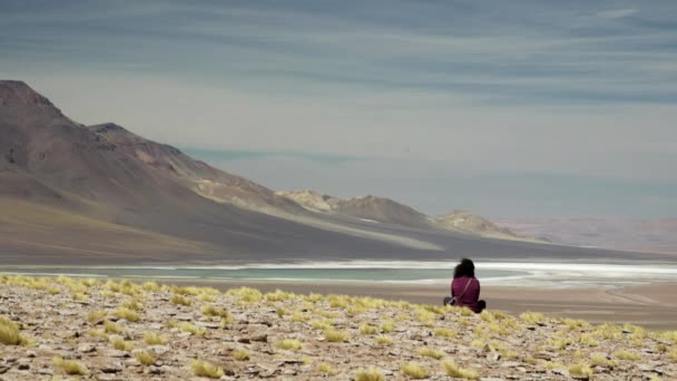 Bakifrån av kvinna mediterar i Atacama höglandet — Stockvideo