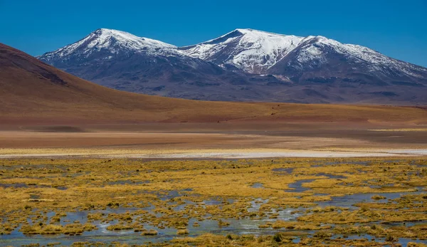 Lago delle Highlands con montagne innevate, Atacama — Foto Stock