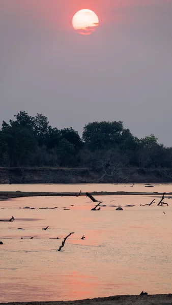 Pôr do sol sobre o rio africano com detritos, composição vertical — Fotografia de Stock