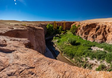 Atacama çölündeki derin nehir kanyonu